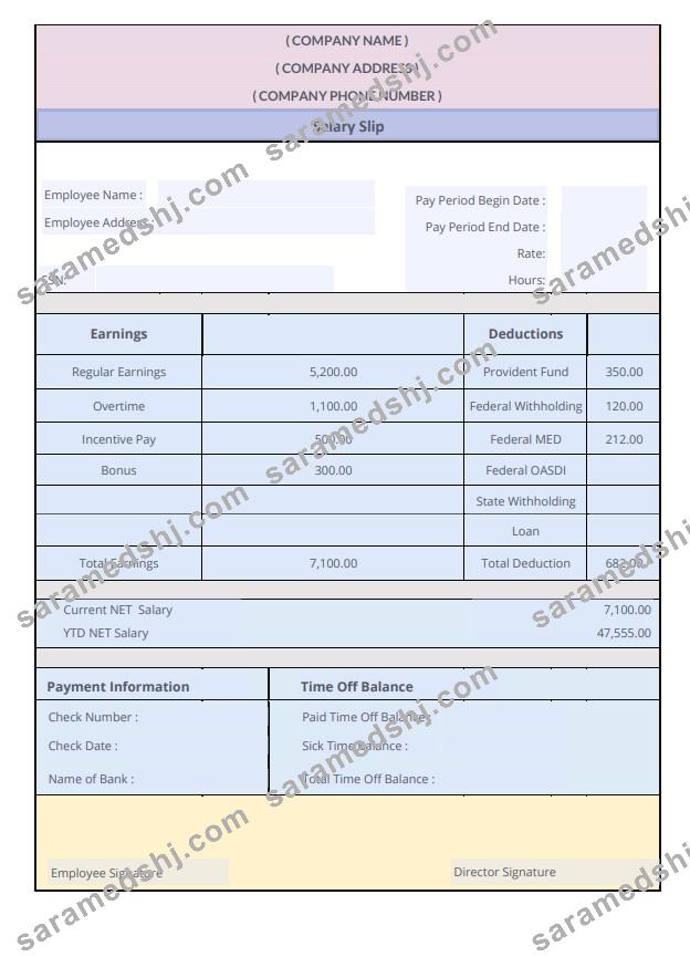 Salary Slip Word and PDF template